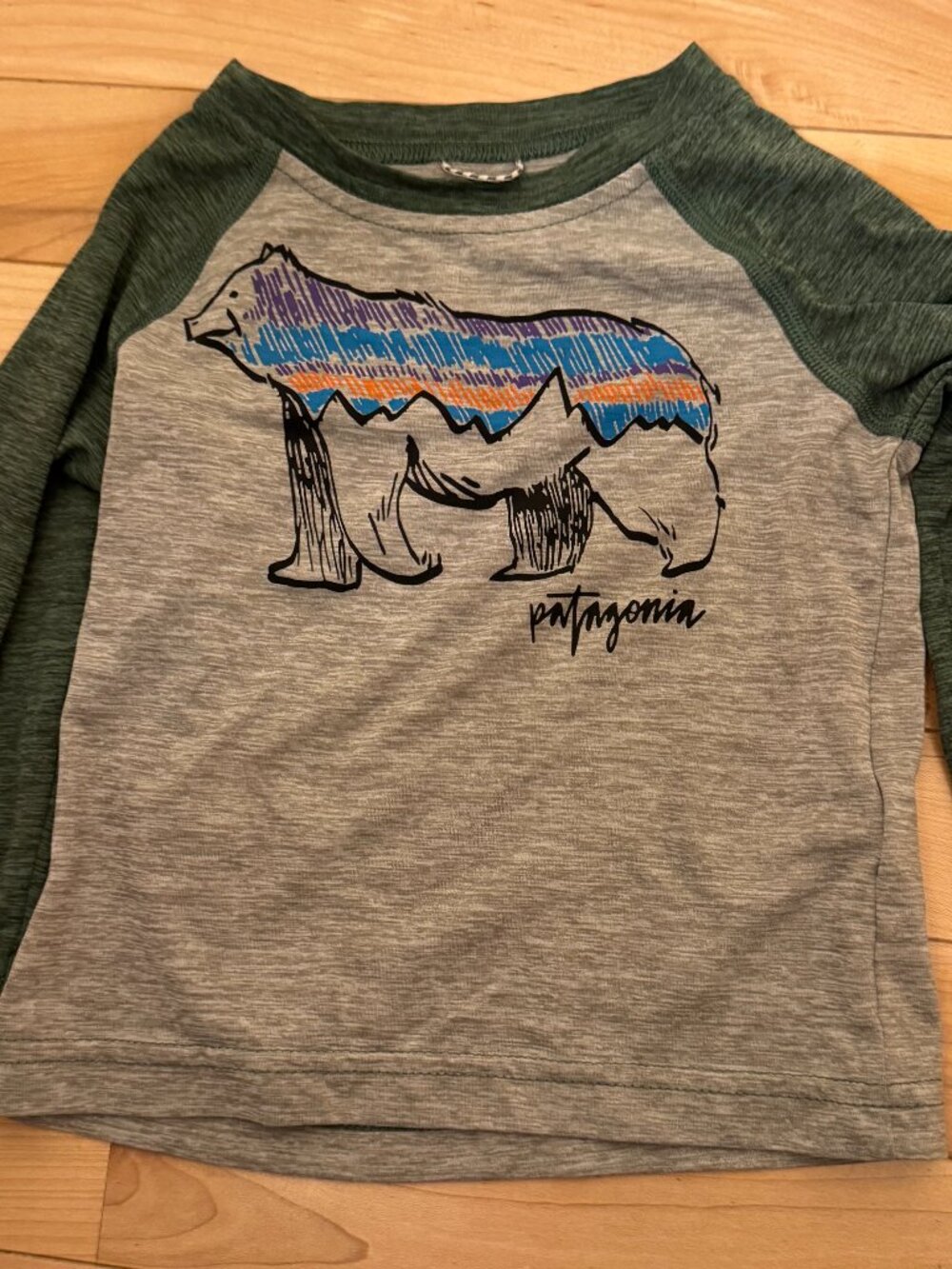 Patagonia Fitz Roy Bear Long Sleeve Tee 6-12M